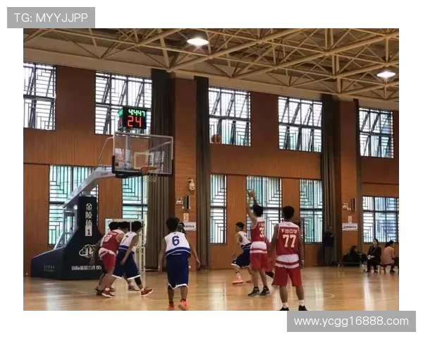 杭州篮球队运营分析：成功经验与不足之处的深度剖析